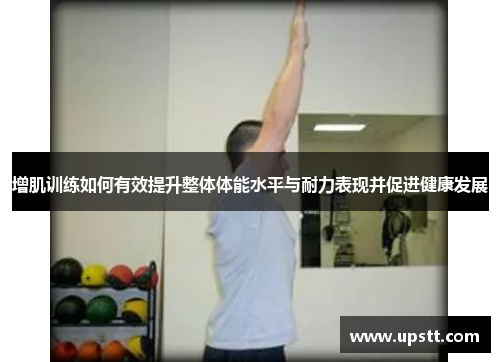 增肌训练如何有效提升整体体能水平与耐力表现并促进健康发展