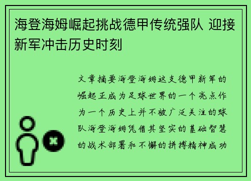 海登海姆崛起挑战德甲传统强队 迎接新军冲击历史时刻