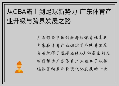 从CBA霸主到足球新势力 广东体育产业升级与跨界发展之路